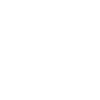Vittatoe Services 100px Icon 4